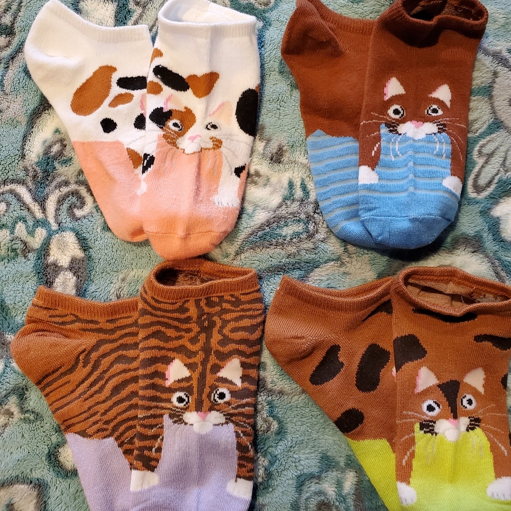 Womens novelty no show socks